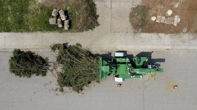 After: A wood chipper feeding an evergreen tree, seen from directly above.